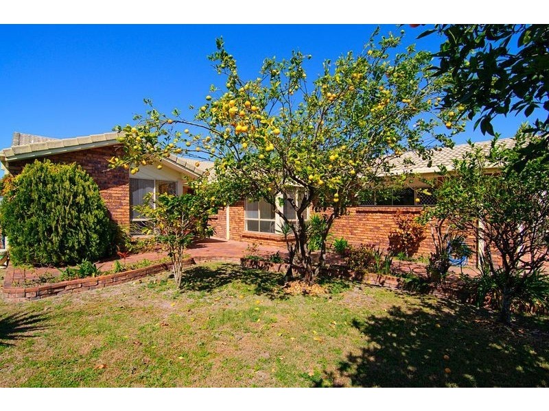 56 Walter Raleigh Crescent, Hollywell QLD 4216