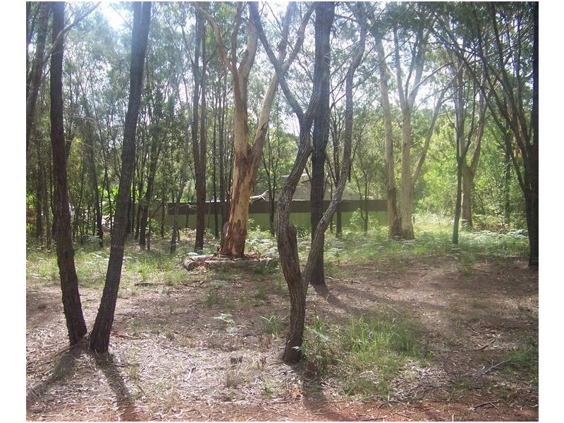 16 Castle Wood Cresent, Russell Island QLD 4184