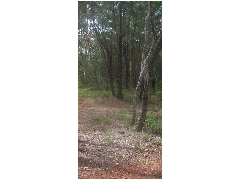 16 Castle Wood Cresent, Russell Island QLD 4184