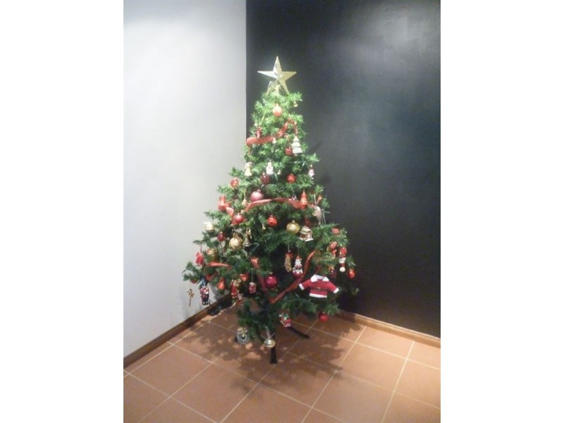 8 Waitomo Street, Broadbeach Waters QLD 4218