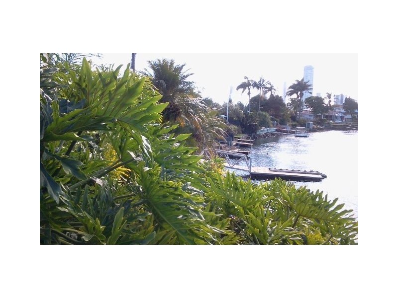 20 Savoy Drive, Broadbeach Waters QLD 4218