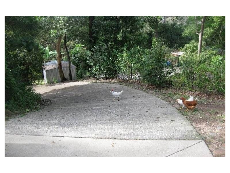 8 Pardalote Place, Currumbin Waters QLD 4223