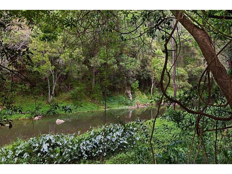 641 Tallebudgera Creek Road, Tallebudgera Valley QLD 4228