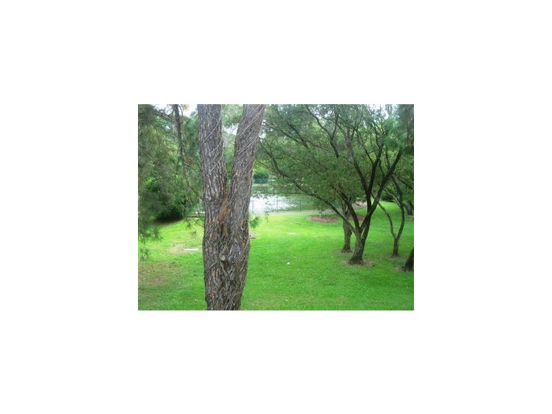 31 Monte Carlo street, Broadbeach QLD 4218