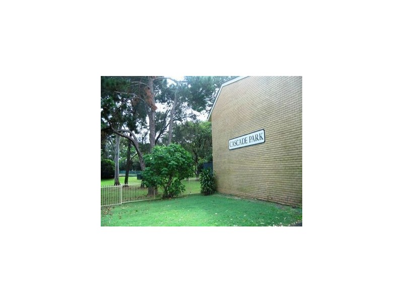 31 Monte Carlo street, Broadbeach QLD 4218