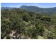 720 Tomewin Mountain Road, Currumbin Valley QLD 4223