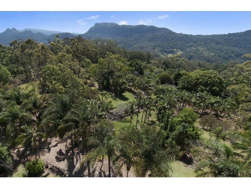 720 Tomewin Mountain Road, Currumbin Valley QLD 4223