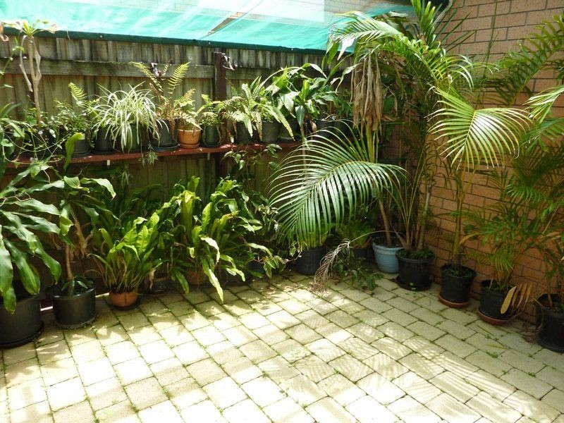 2/9 Lindal Street, Ashmore QLD 4214