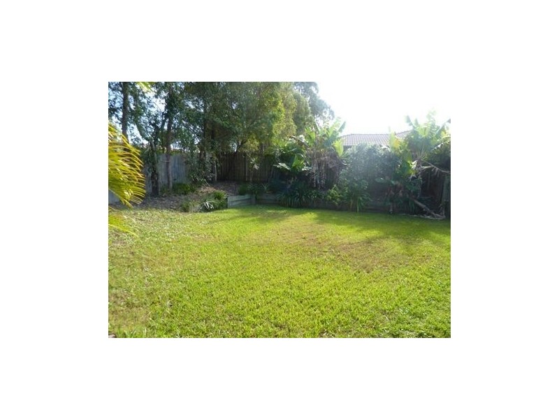16 Ferngrove Avenue, Upper Coomera QLD 4209