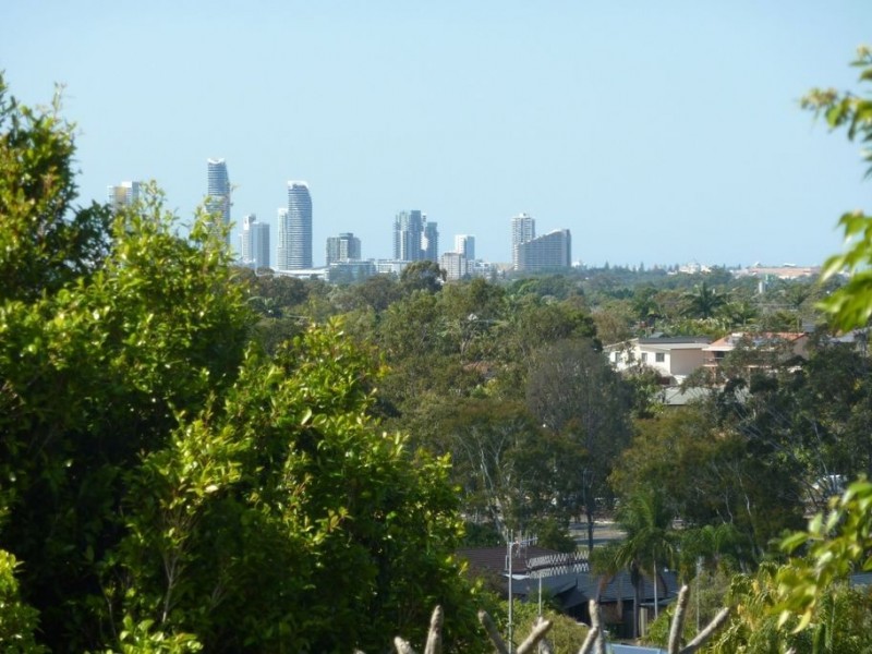 32 Pinkwood Drive, Ashmore QLD 4214