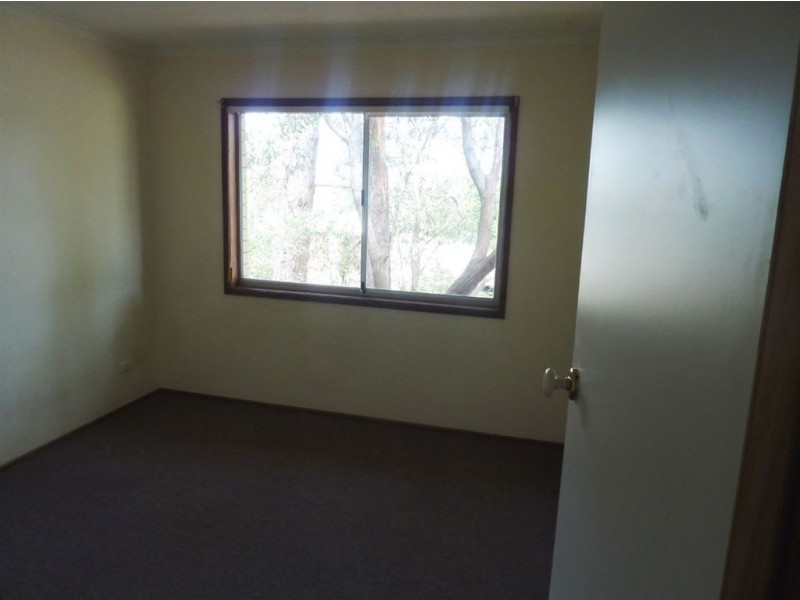 207 Cotlew Street, Ashmore QLD 4214