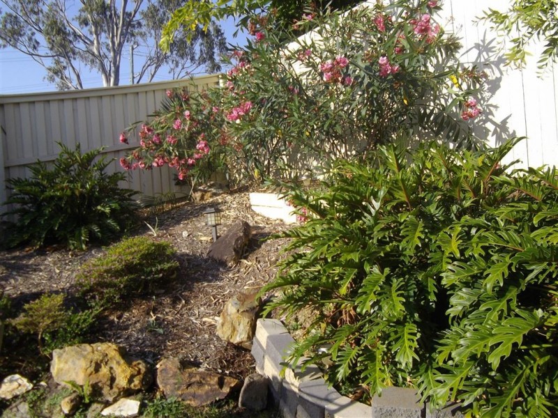 250 Cotlew Street, Ashmore QLD 4214