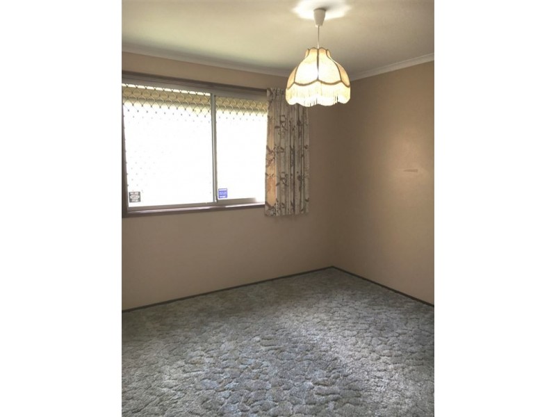 17 Burdock Street, Elanora QLD 4221