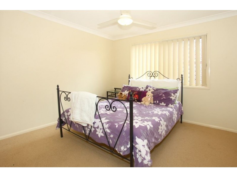 14 Nicola Way, Upper Coomera QLD 4209