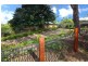 7 Amelia Street, Upper Coomera QLD 4209
