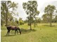 838 Mundoolan conection rd, Tamborine QLD 4270