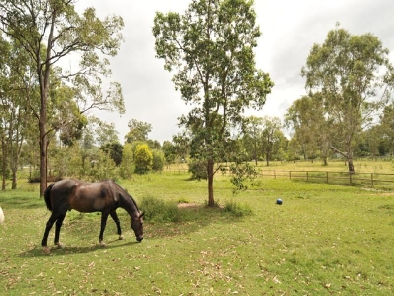 838 Mundoolan conection rd, Tamborine QLD 4270