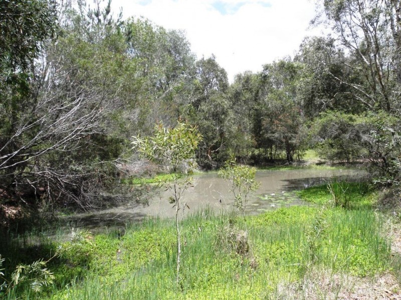 269 Greensward Road, Tamborine QLD 4270