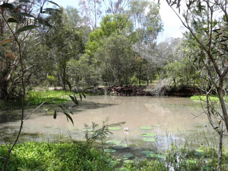 269 Greensward Road, Tamborine QLD 4270