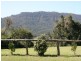 75 Armstrong, Canungra QLD 4275
