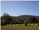 75 Armstrong, Canungra QLD 4275
