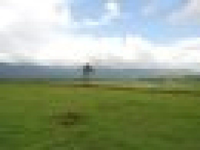 101 Four Mile Lane, Boyland QLD 4275