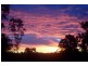 29-35 Chianina Court, Tamborine QLD 4270