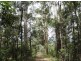 Lot 4 Beattie Rd, Mundoolun QLD 4285