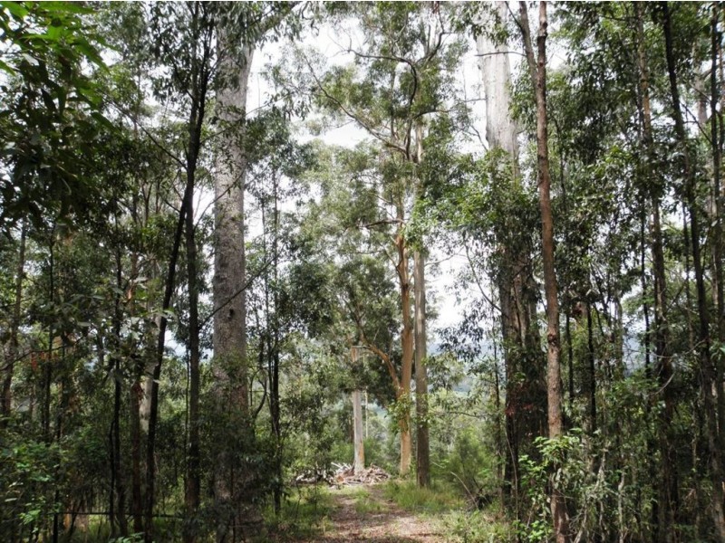 Lot 4 Beattie Rd, Mundoolun QLD 4285