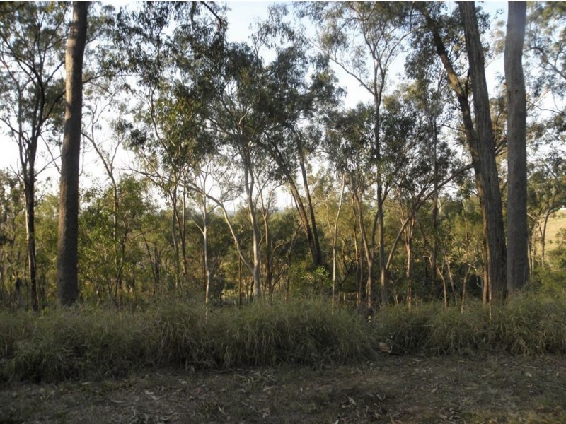 Lot 5 Beattie Rd, Mundoolun QLD 4285