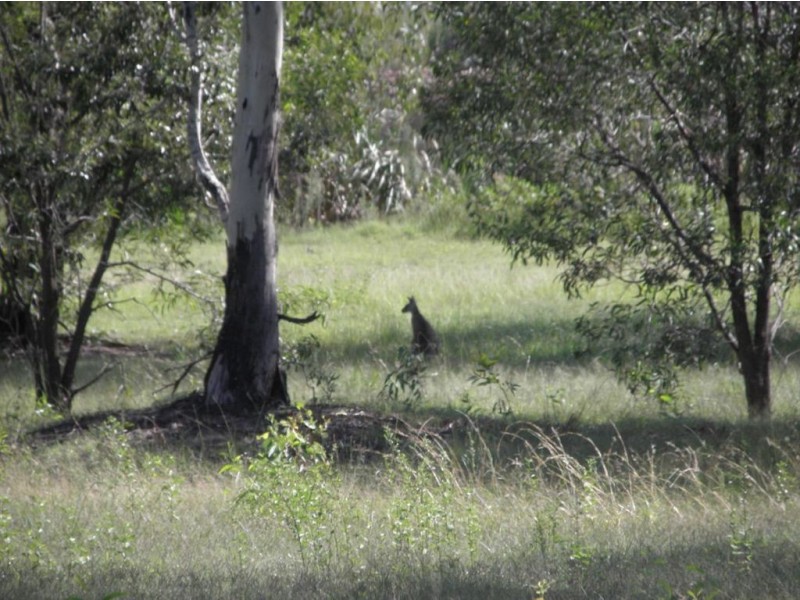 Lot 7 Beattie Rd, Mundoolun QLD 4285