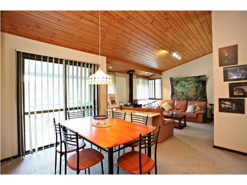 63 verbena, Tamborine QLD 4270