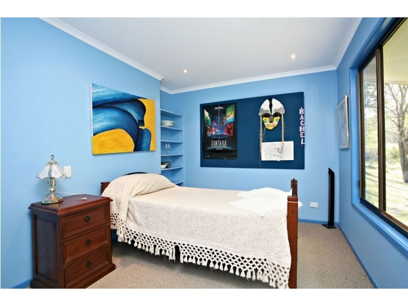 63 verbena, Tamborine QLD 4270