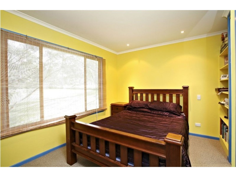 63 verbena, Tamborine QLD 4270