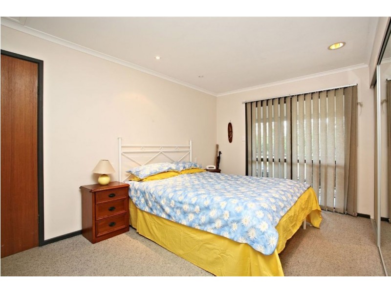 63 verbena, Tamborine QLD 4270