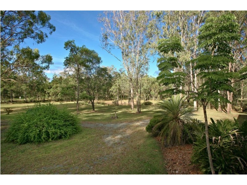 63 verbena, Tamborine QLD 4270