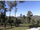 Lot 16 Cherry Tree Court, Boyland QLD 4275