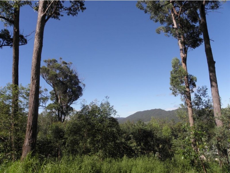 Lot 16 Cherry Tree Court, Boyland QLD 4275