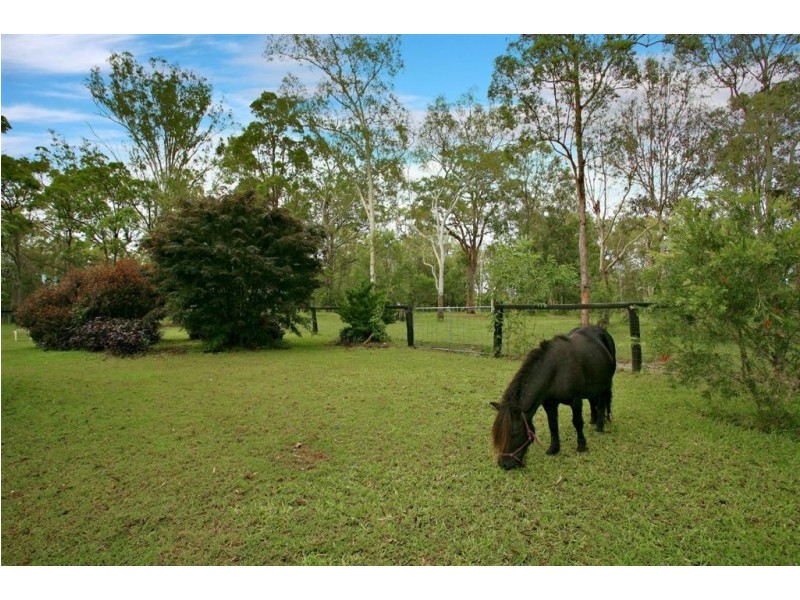 1902 Beaudesert Beenleigh Rd, Tamborine QLD 4270