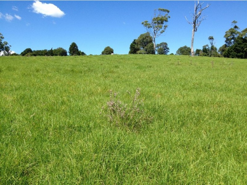 Lot 3 Beechmont Rd, Beechmont QLD 4211