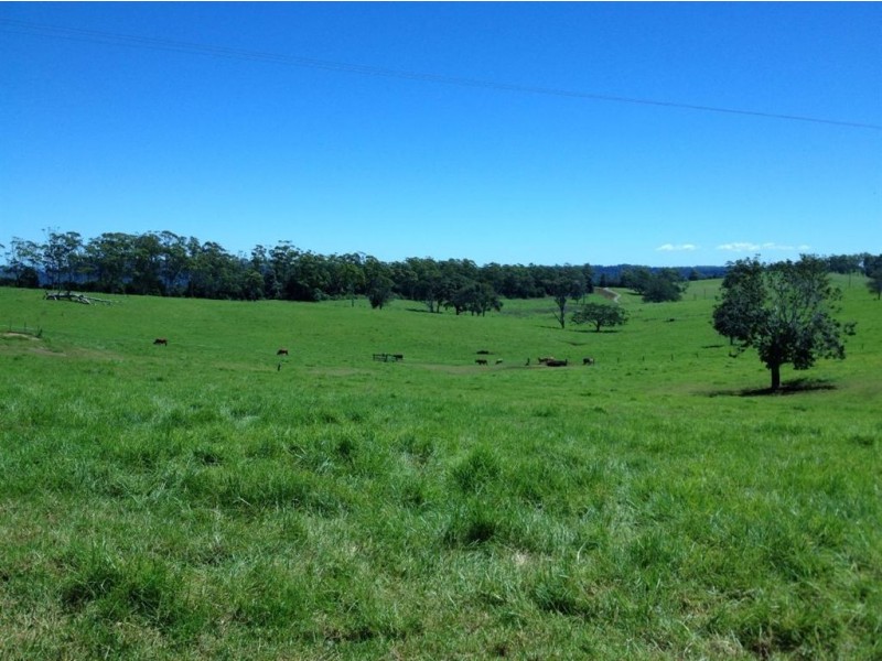 Lot 3 Beechmont Rd, Beechmont QLD 4211