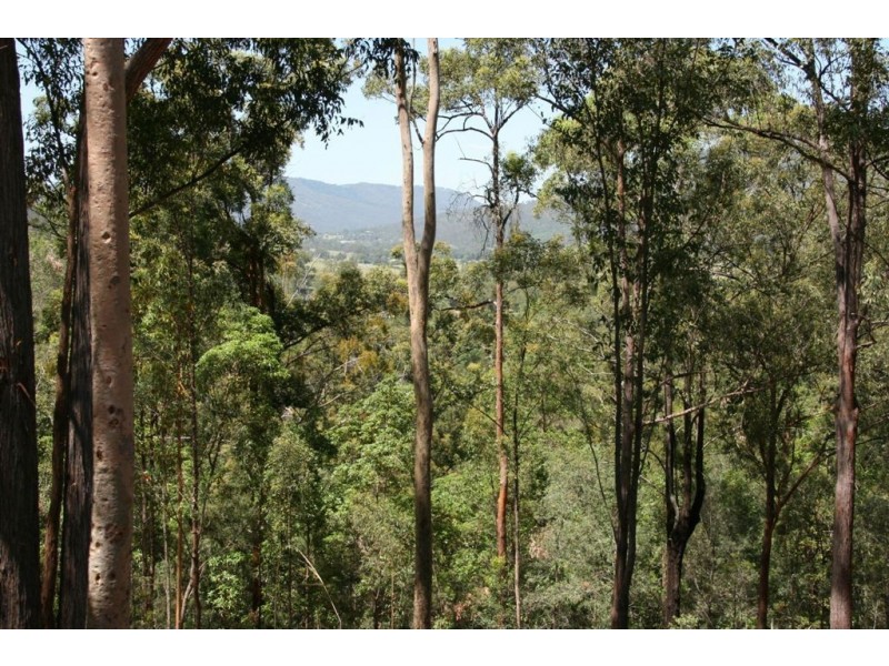 Wonglepong QLD 4275