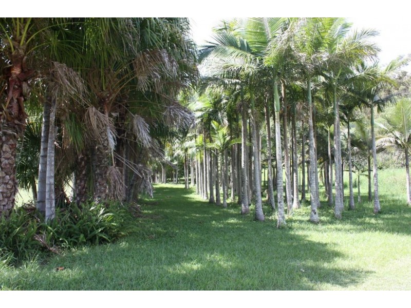Luscombe QLD 4207
