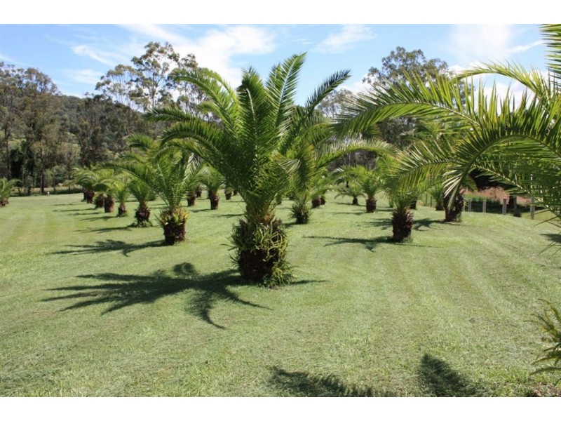 Luscombe QLD 4207