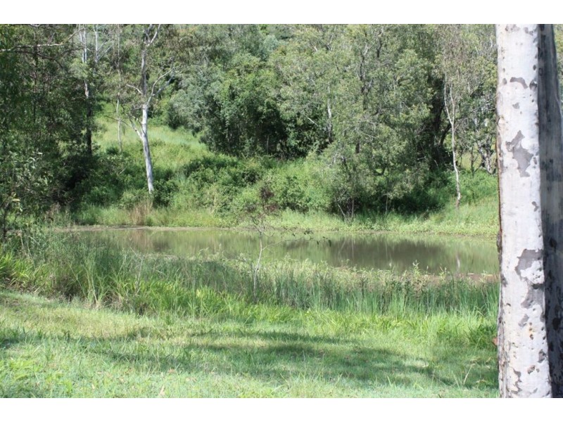 Luscombe QLD 4207