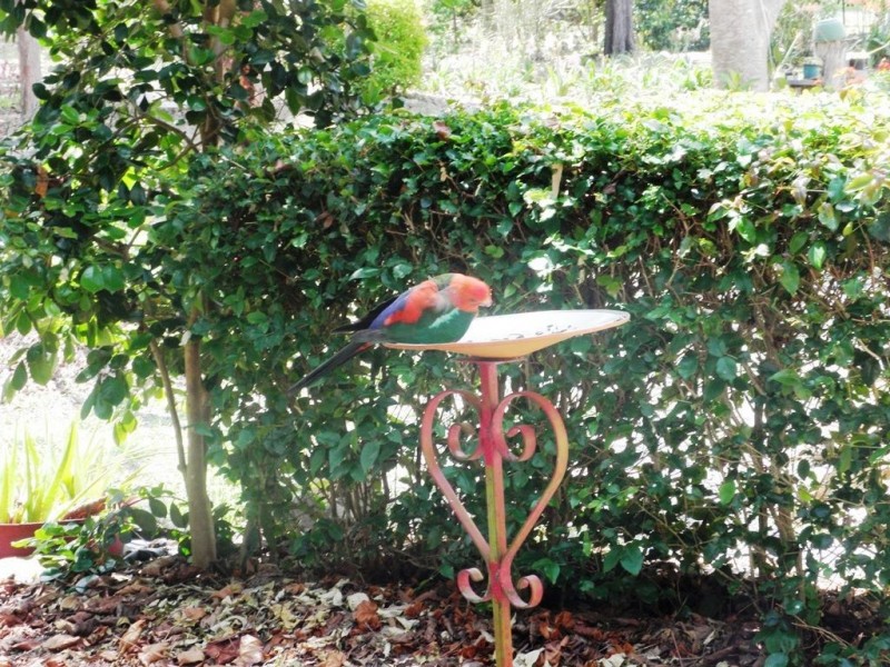 37 Frond Rd,, Tamborine QLD 4270