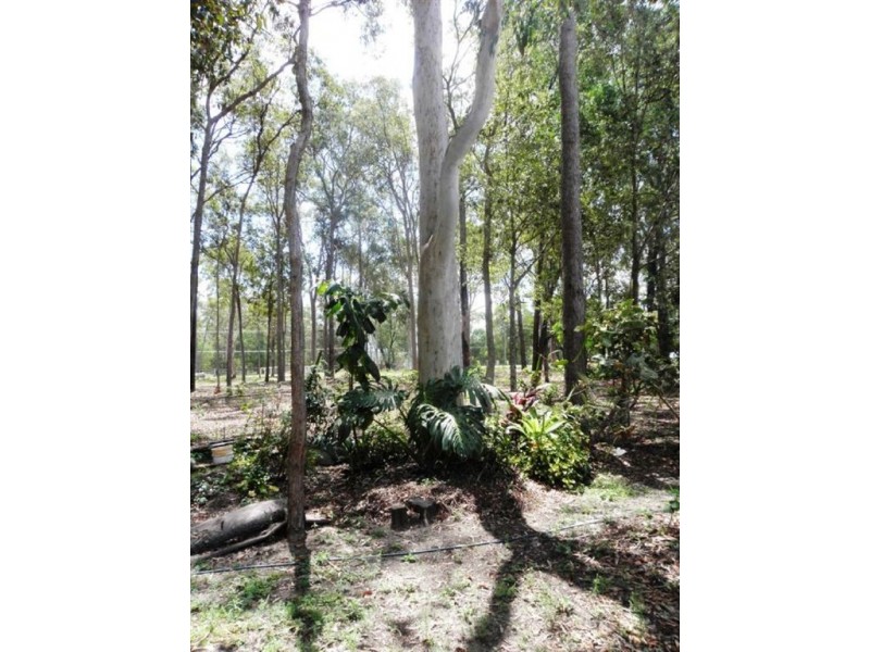 37 Frond Rd,, Tamborine QLD 4270