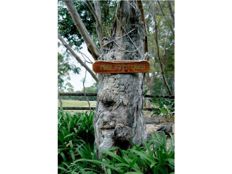 801 Main Western Rd, Tamborine Mountain QLD 4272