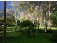 73 Karen Ct, Tamborine QLD 4270