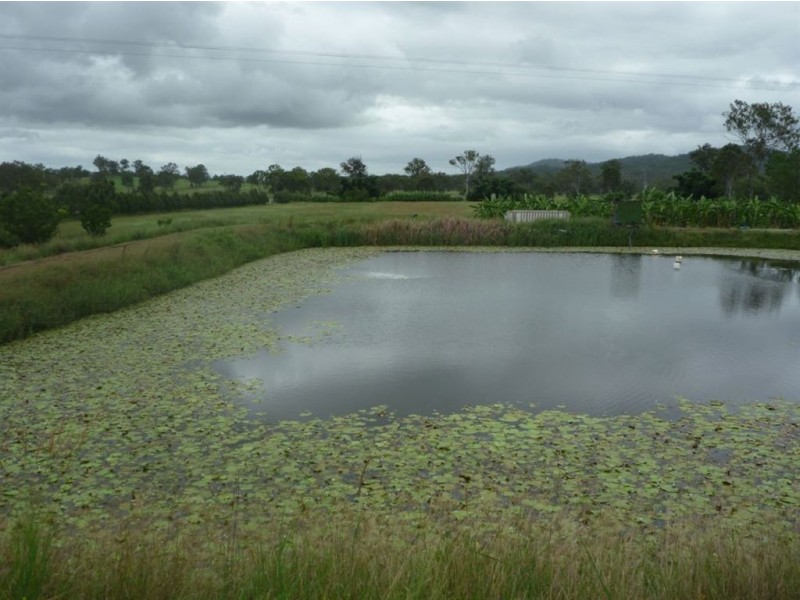 1 Larch road, Tamborine QLD 4270